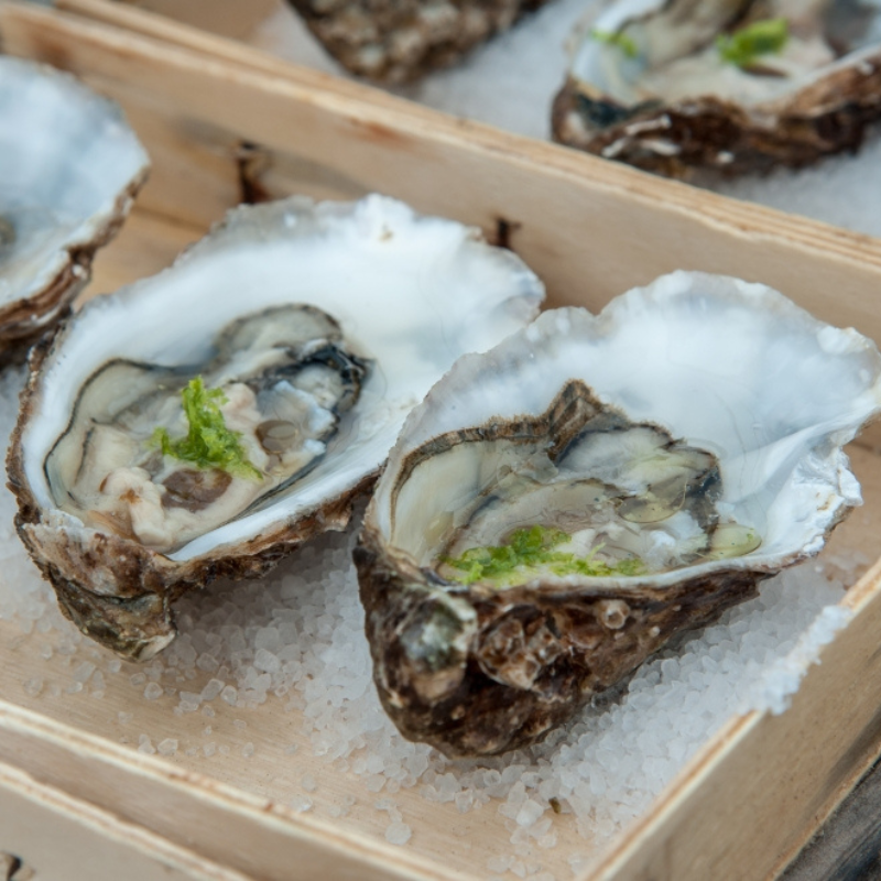 Balade Gastronomique / Chef à bord